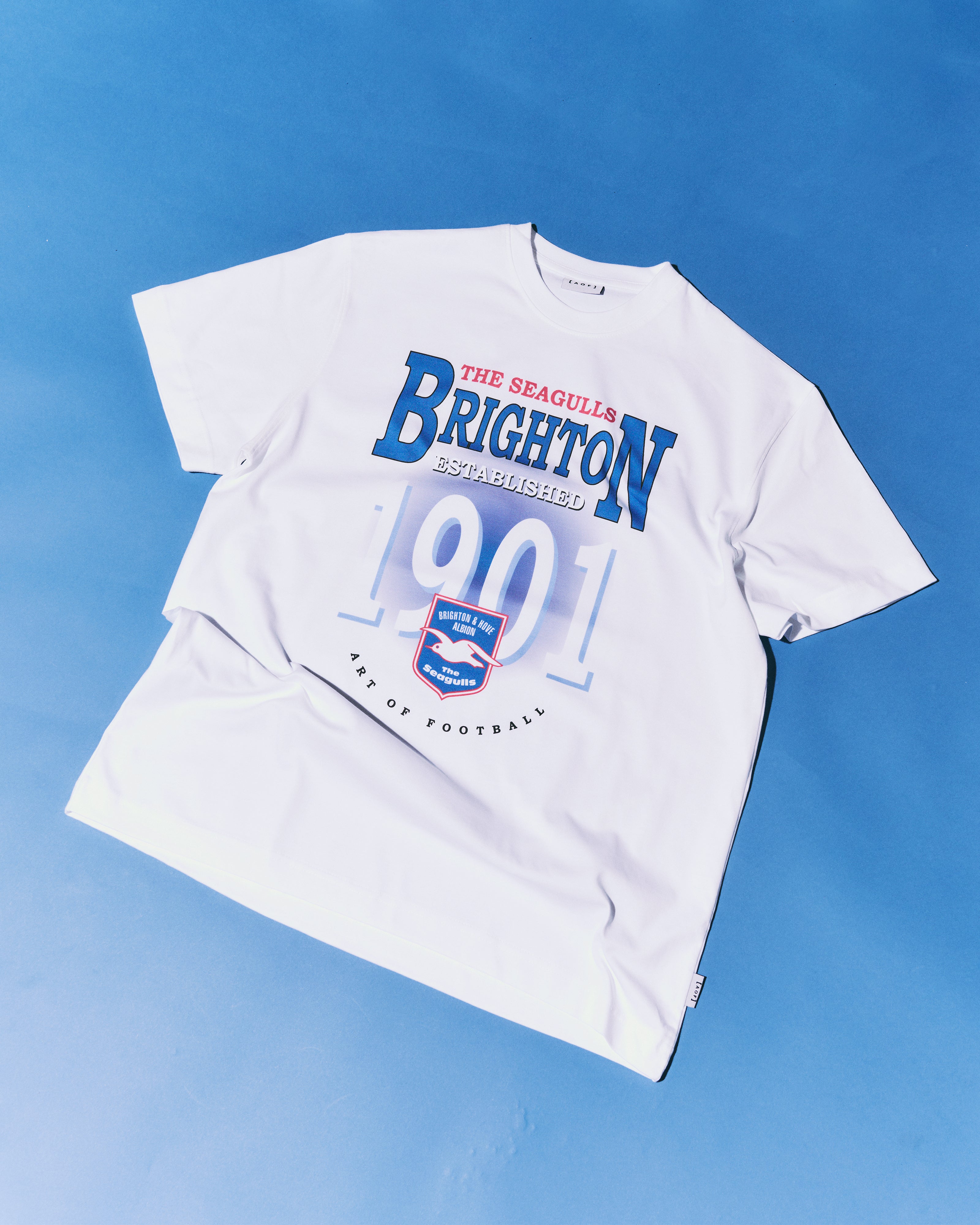 ART OF Football x Brighton Retro Graphic Tee | AOF x BHAFC T-shirt